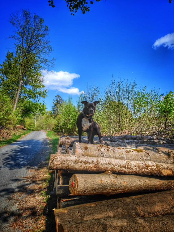 FOTOGALERIE: Malý Rabštýn