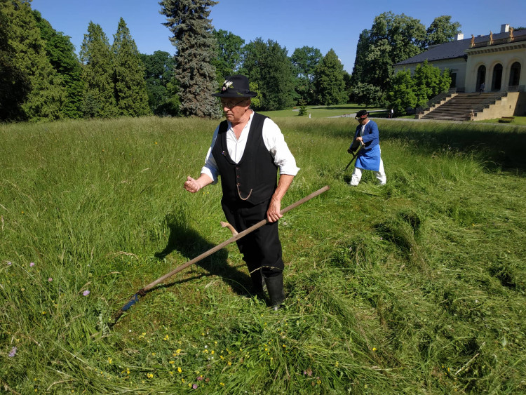 FOTOGALERIE: Zámecky sečeni lóke v Čechách pod Kosířem