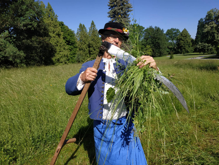 FOTOGALERIE: Zámecky sečeni lóke v Čechách pod Kosířem