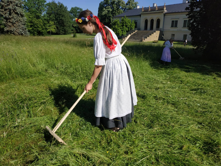 FOTOGALERIE: Zámecky sečeni lóke v Čechách pod Kosířem
