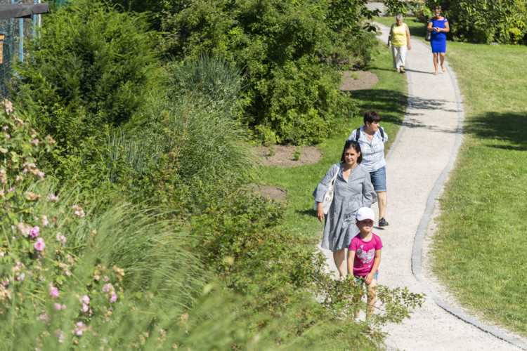 Tisíce květů, přednášky a muzika. Olomoucké rozárium slaví padesáté výročí