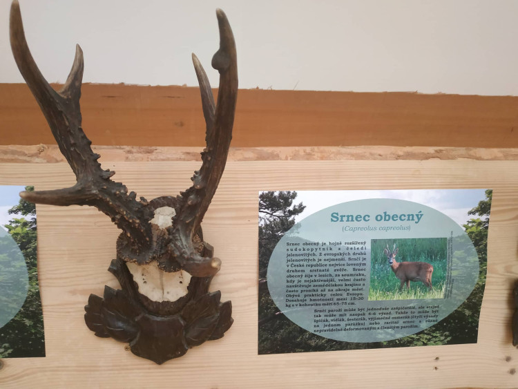 FOTOGALERIE: Parohatí a dutorozí v Prostějově