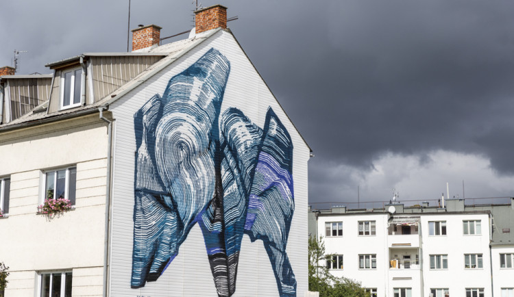 FOTOGALERIE: Festival pouličního umění přinesl do Olomouce velkoplošné malby i drobná díla