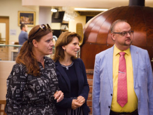 VOLBY 2022: Jak přicházejí výsledky. Volební štáby politických stran v Olomouci
