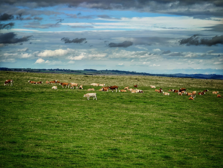 FOTOGALERIE: Několik zajímavých míst kousek od sebe u Oder