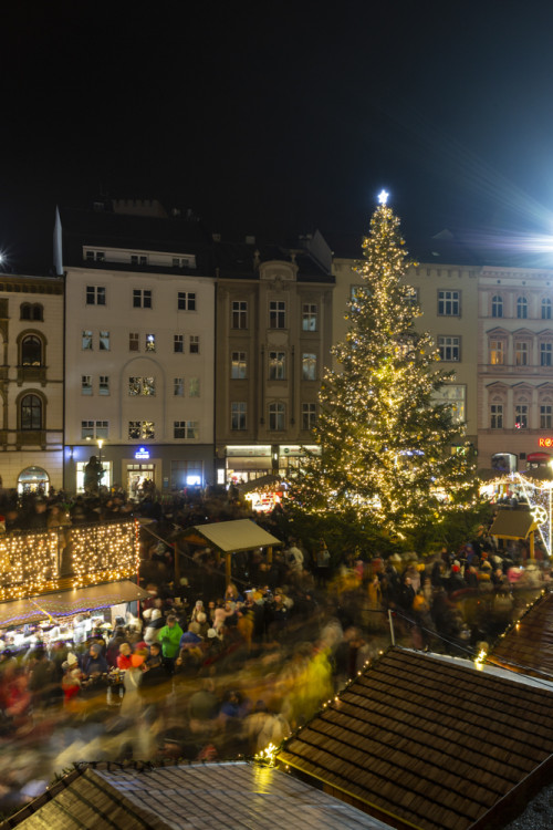 FOTOGALERIE: Strom z Hluboček dostal jméno Perníček. V Olomouci začaly vánoční trhy