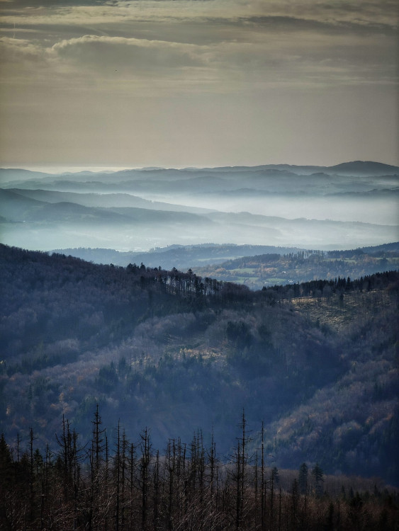 FOTOGALERIE: Velký Javorník v létě i v zimě