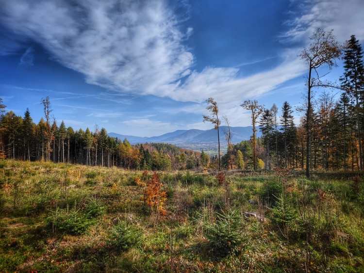 FOTOGALERIE: Velký Javorník v létě i v zimě
